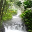 성수중학교 이미지