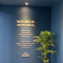 법인케렌시아