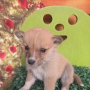 남평읍행정복지센터 이미지