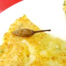 대나무집펜션 이미지