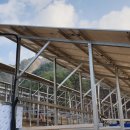 두성태양광발전소 이미지