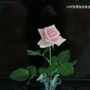 나이팅게일공동생활가정 이미지