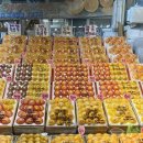 스테이아호이 이미지