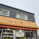 꽃담은 | 대구꽃집 다양한 화분과 가성비 있는 꽃다발 / 너를담은꽃 재방문 후기!