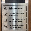 골든루트호텔 | 로얄 로터스 호텔 다낭 후기 🏨 다낭공항 근처, 수심 1.6m 루프탑 수영장