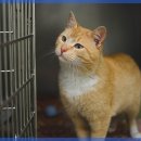 세종약국 이미지