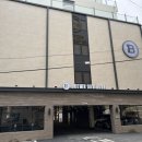 브라운 도트 이미지