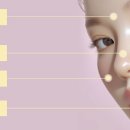 로이셀