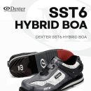 dexter sst6 hybrid boa 280mm 판매합니다 이미지