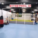 용인대용전태권도 이미지