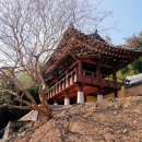 용평동 용호정 티스토리