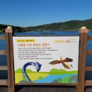 알섬