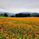 곡성묘천 이미지