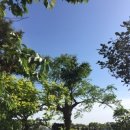 협재마당 이미지