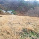 조성면사무소 이미지