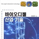 아진디젤 이미지