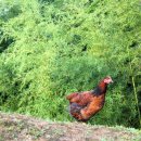 원스농장 이미지