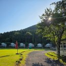 제주 베스트힐 글램핑 & 펜션 | 제주 글램핑 숙소 베스트힐 펜션 야외 바베큐 파티 수영장
