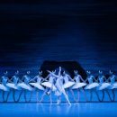 국립발레단 호두까기 인형 이미지