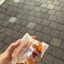 오늘도, 아름답개 이미지