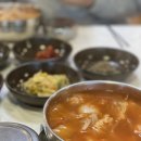 동해곰치 이미지