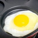 에스겔-푸름농장 | 무항생제 유정란/난각번호2번/푸름유정란 신선하고 맛있어요