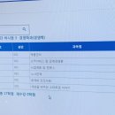 오늘의 강아지 이미지