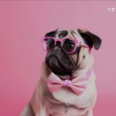 기쁨주는안경원 네이버블로그