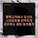 고덕에서 가성비 최고 폰가게 킹콩핸드폰 방문 후기