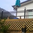 공작산비룡펜션 이미지