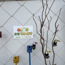 순창 앵무새팜 | 순창 아기랑 가볼만한곳 - 주말나들이로 딱 좋은 "순창 앵무새팜"