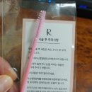 래쉬더로즈 이미지