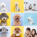 1207Studio 이미지