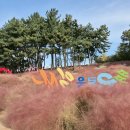 신흥공원 이미지