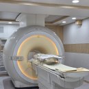 제주24시숨동물의료센터