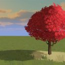 Red Japanese Maple Tree 이미지