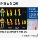 슈올즈구로 이미지