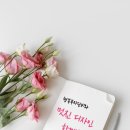 단비디자인 이미지