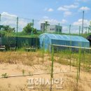 정구장화장실 프레시안