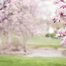 수(SU)안경 이미지