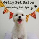 젤리펫살롱 이미지