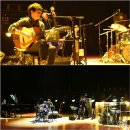 백양루시드 이미지