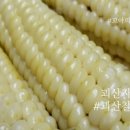 괴산지역자활센터 이미지