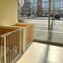 빵이펫살롱 이미지