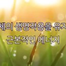 태양에너지 이미지