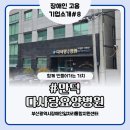 다사랑요양병원 | [장애인고용기업소개#8] 만덕 다사랑요양병원 동행면접 후기