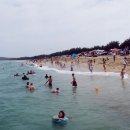 구산해수욕장 Daum카페