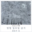 정선찜질방 | 영월 일주일 살기 - 6일차(동강둔치공원 얼음썰매, 함백산 만항재, 일조약탕 찜질방)