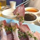 오징회세꼬시 | 광주 용봉동 대방어 맛집 황금회포차 전철우 술집 추천