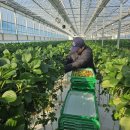 경영농장 이미지